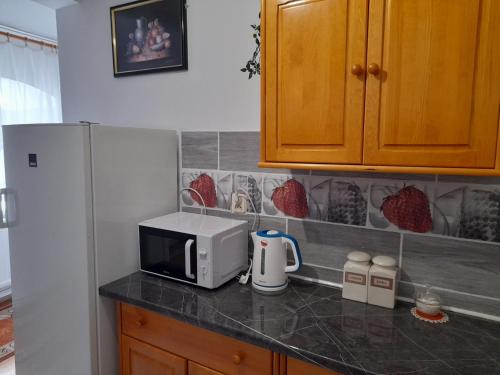 a kitchen counter with a microwave and a refrigerator at Lipowy Dwór in Laskówka