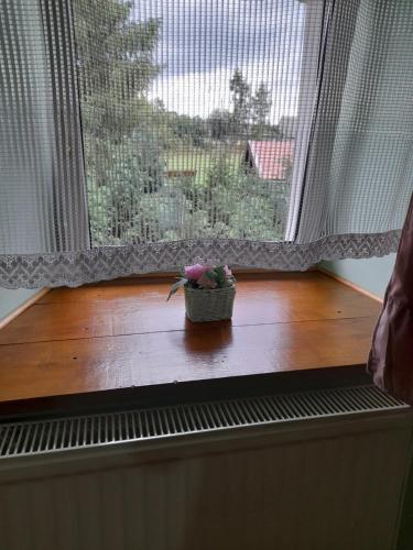 a plant sitting on a window sill in front of a window at Lipowy Dwór in Laskówka