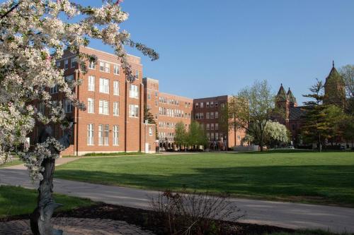 a large brick building with a tree in front of it at Downtown Boho Home wOffice Yoga StudioKing Bed in La Crosse