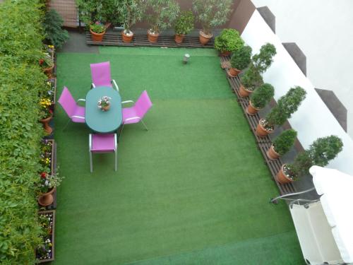 普热梅希尔Center Apartment的享有带椅子和植物的露台的顶部景致