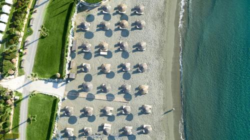 an overhead view of a herd of sheep on the beach at Mediterranean Beach Hotel in Limassol