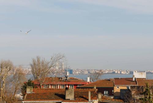 a bird flying over roofs of houses in a city at Amiral Palace Hotel Boutique Class in Istanbul