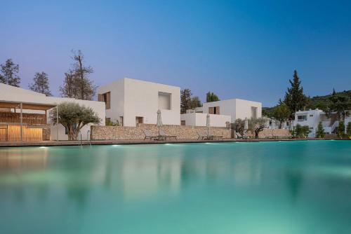 a view of a swimming pool in front of a house at Voyage Torba Hotel in Torba