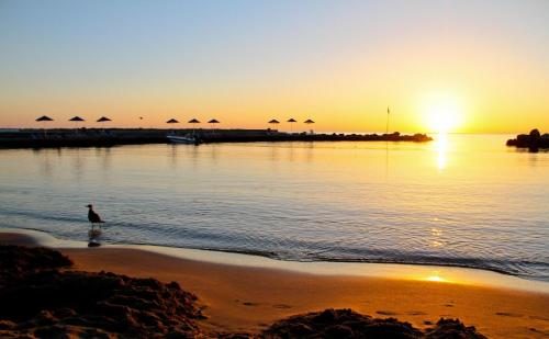 a person standing in the water on the beach at sunset at Nana Golden Beach All Inclusive Resort & Spa in Hersonissos