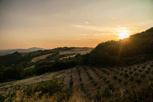 a sunset over a farm field with the sun setting at Tenuta Borgo Santa Cecilia in Gubbio