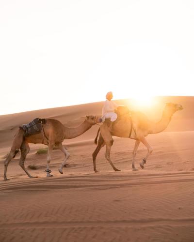 Tetamu yang menginap di Thousand Nights Camp