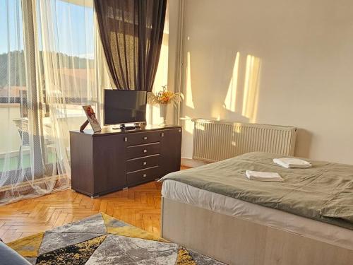 a bedroom with a bed and a dresser with a television at Apartment Zarnesti City Centre VMP Free Parking in Zărneşti