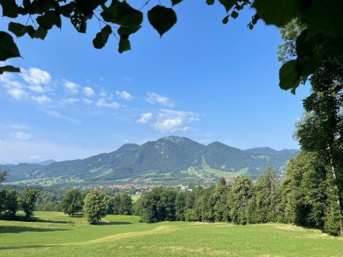 a view of a green field with mountains in the background at Juifen in Lenggries