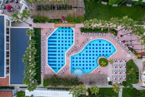 Kolam renang di atau dekat dengan Trendy Palm Beach Adults Only