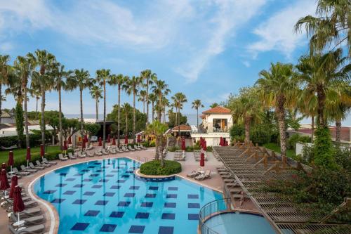 Kolam renang di atau dekat dengan Trendy Palm Beach Adults Only