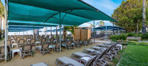 Gambar di galeri bagi Trendy Palm Beach Adults Only di Side