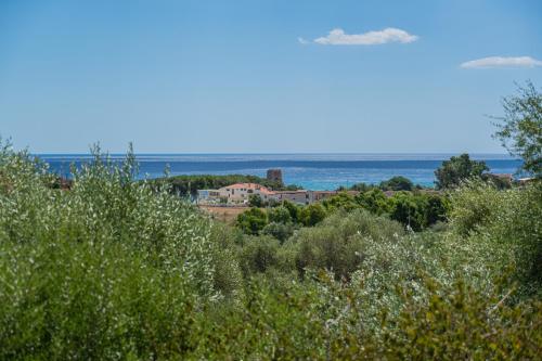 a view of the ocean from a field of grass at Felix Hotels - Galanias Hotel & Retreat in Bari Sardo