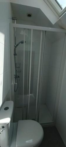 a white bathroom with a shower and a toilet at Suite Duplex Vientiane - Second Lodge - Hyper Centre Historique Rennes - 2 personnes in Rennes