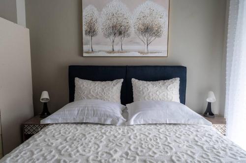 Aquilas Nest Apartment Litochoro