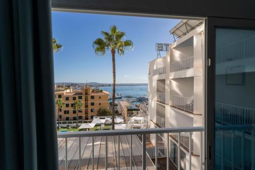 a view of a palm tree from a balcony at Hotel Amic Horizonte in Palma de Mallorca