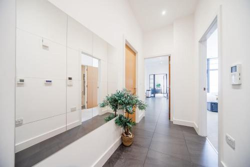 a hallway with white walls and a potted plant at 2 Bed Oasis London Flat-O2-Excel-Canary Wharf- Shops- Trains -Free Parking,Wifi 500mb & Flex Check In in Woolwich