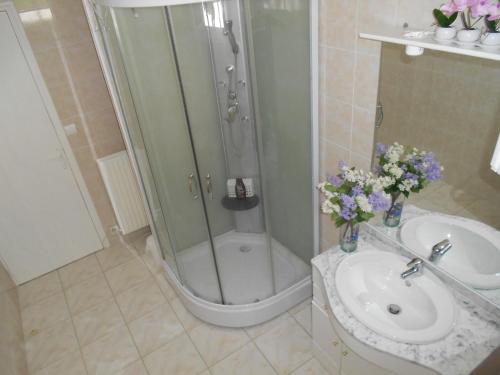 La salle de bains est pourvue d'une douche et d'un lavabo fleuri. dans l'établissement Gite LINIPA, à Sarlat-la-Canéda