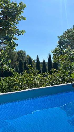 une piscine bleue avec des arbres en arrière-plan dans l'établissement Vacances au cœur de la Provence, en famille ou entre amis, à Mirabel-aux-Baronnies