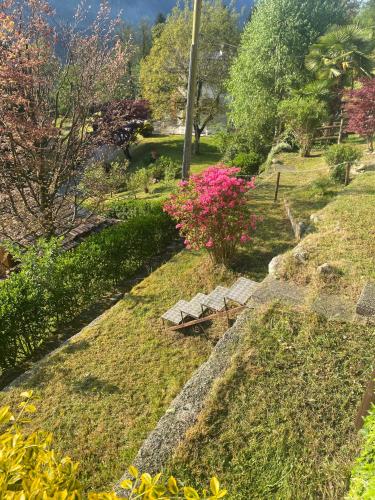 a park with a bench and some pink flowers at Borzago in Spiazzo
