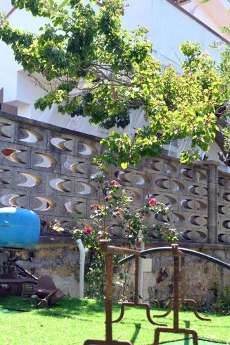a tree in a yard next to a fence at Villino Anna e Pippino in Calatafimi