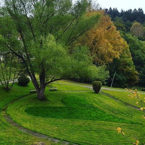 a park with a tree and a bench in a field at Svenshögens vandrarhem in Svenshögen