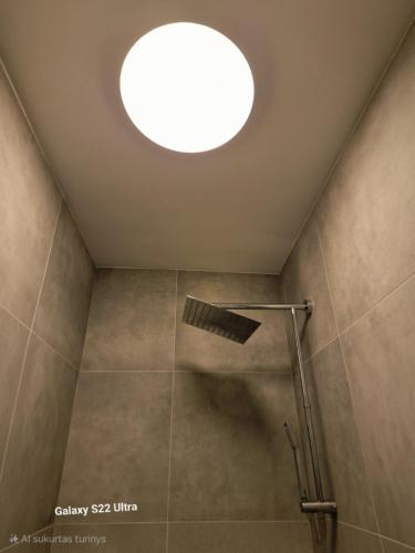 a bathroom with a shower with a skylight at RentA Citywalk Flat in Kaunas