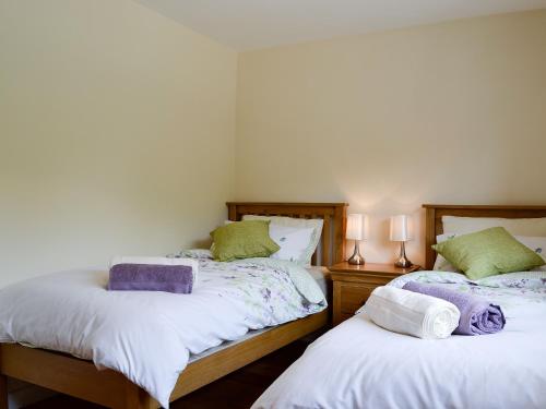 a bedroom with two beds and two lamps at Dolview in Penybont