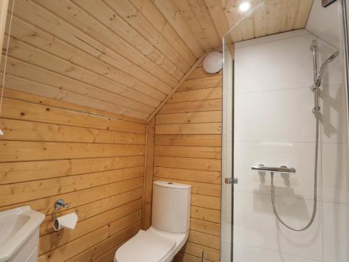 a bathroom with a toilet and a shower at Little Luxe Lodges 2 in Coillemore