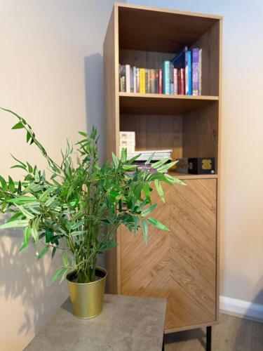 Galeriebild der Unterkunft Near Saltaire, Bingley, Beautiful & Spacious, Entire 2-Bed House, Kitchen, Washer Dryer, Parking & Garden in Bradford