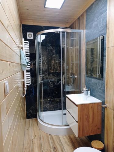 a bathroom with a shower and a sink at Pod Niedźwiedzicą in Olszyniec