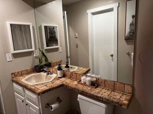 a bathroom with a sink and a mirror at Hope's Hideaway in Blakeslee