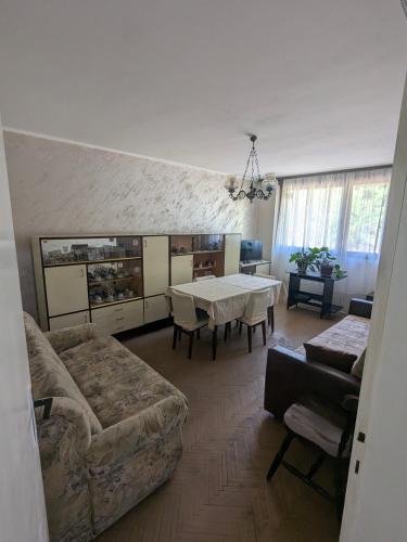 a living room with a couch and a table at Gordana in Senjski Rudnik