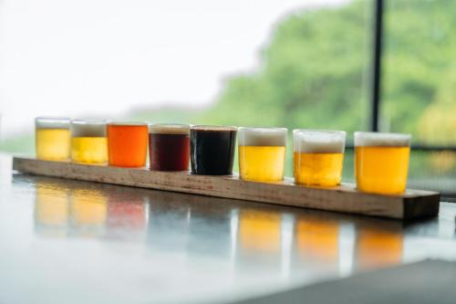 a row of glasses of beer on a table at Lake Arenal Hotel & Brewery in Tilarán