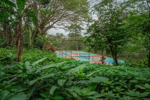 a basketball court in the middle of a forest at Lake Arenal Hotel & Brewery in Tilarán