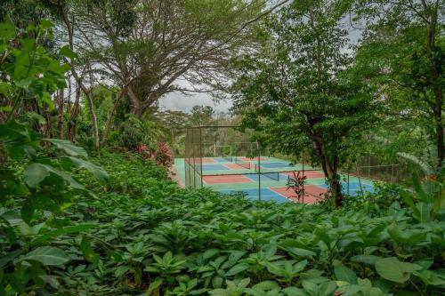 a group of swimming pools with trees and plants at Lake Arenal Hotel & Brewery in Tilarán