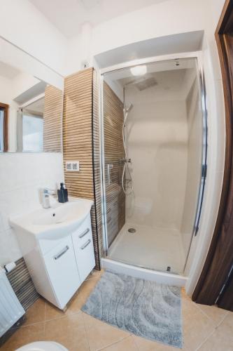 a bathroom with a shower and a sink at COŚ Apartament Żydowska 33 in Poznań