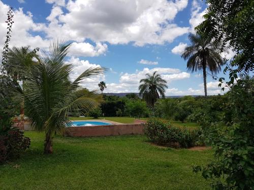 uma palmeira e uma piscina num quintal em Pousada Estação Lunar - Terra Ronca em São Domingos