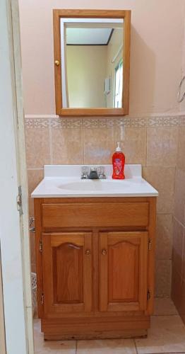 a bathroom with a sink and a mirror at Villas del Edén in El Pino