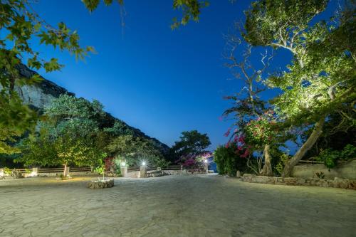 a park at night with trees and a blue sky at Platani Seaside Villa in Sitia