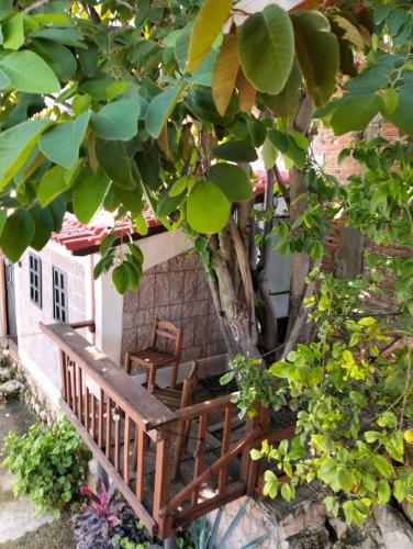 Κήπος έξω από το Hotel Bungalows La Era