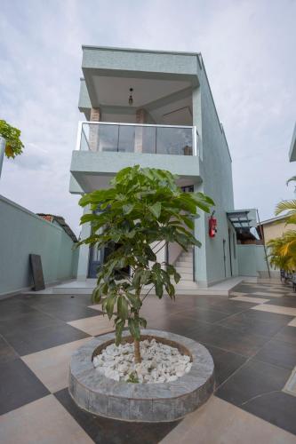 a bonsai tree in front of a house at Airgo Residences in Kigali