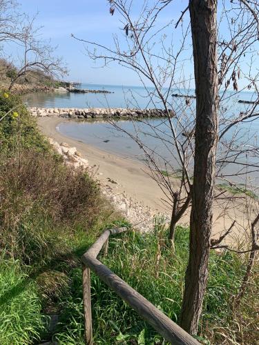 a wooden path leading to a sandy beach at Costa Trabocchi appartamento sul Mare in Fossacesia