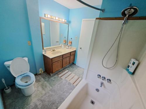 a bathroom with a toilet and a sink and a shower at Private Bedroom at Riverfront House in Kamloops