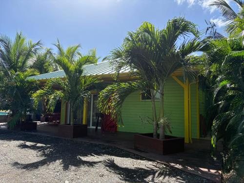 a green house with palm trees in front of it at Le Paradis de la Guadeloupe in Pointe-Noire