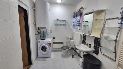 a white bathroom with a washing machine and a sink at U Čertovy brázdy in Sázava