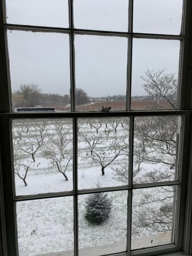 a window with a view of a snow covered field at The House of Elsie Bed and Breakfast in Niagara on the Lake