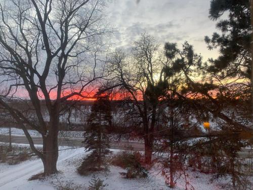 a sunset in the winter with trees and snow at The House of Elsie Bed and Breakfast in Niagara on the Lake
