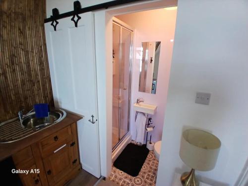 a bathroom with a shower and a sink and a toilet at Eagles Nest Sea view with ensuite 3rd floor in Pwllheli