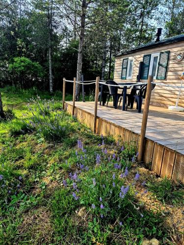 a wooden deck with a picnic table and a cabin at Le Relais de D'Artagnan in Peyrusse-Grande