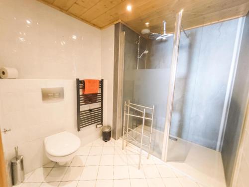 une salle de bain avec toilettes et douche en verre dans l'établissement Chalet Adele - Appartement 6 personnes situé en bord de piste St Martin de Belleville MAE-8204, à Saint-Martin-de-Belleville